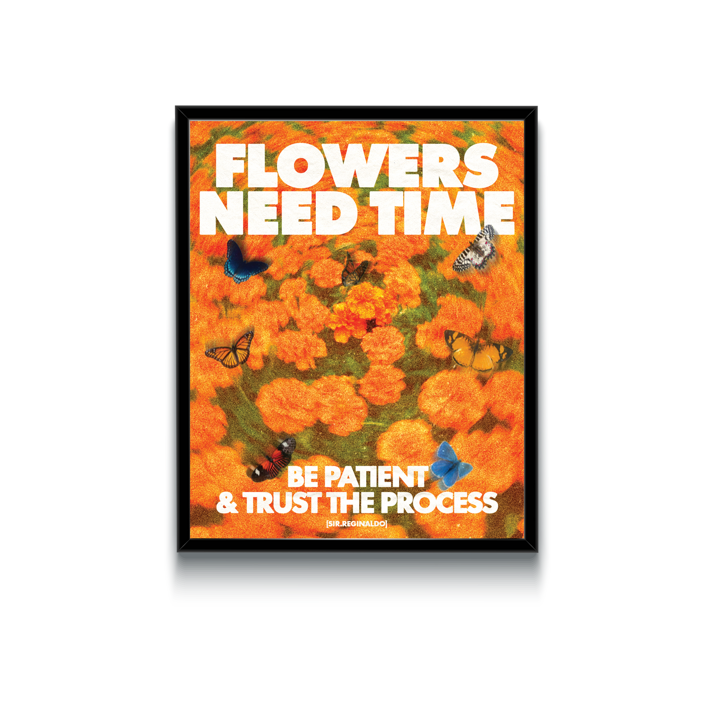 Flowers Need Time