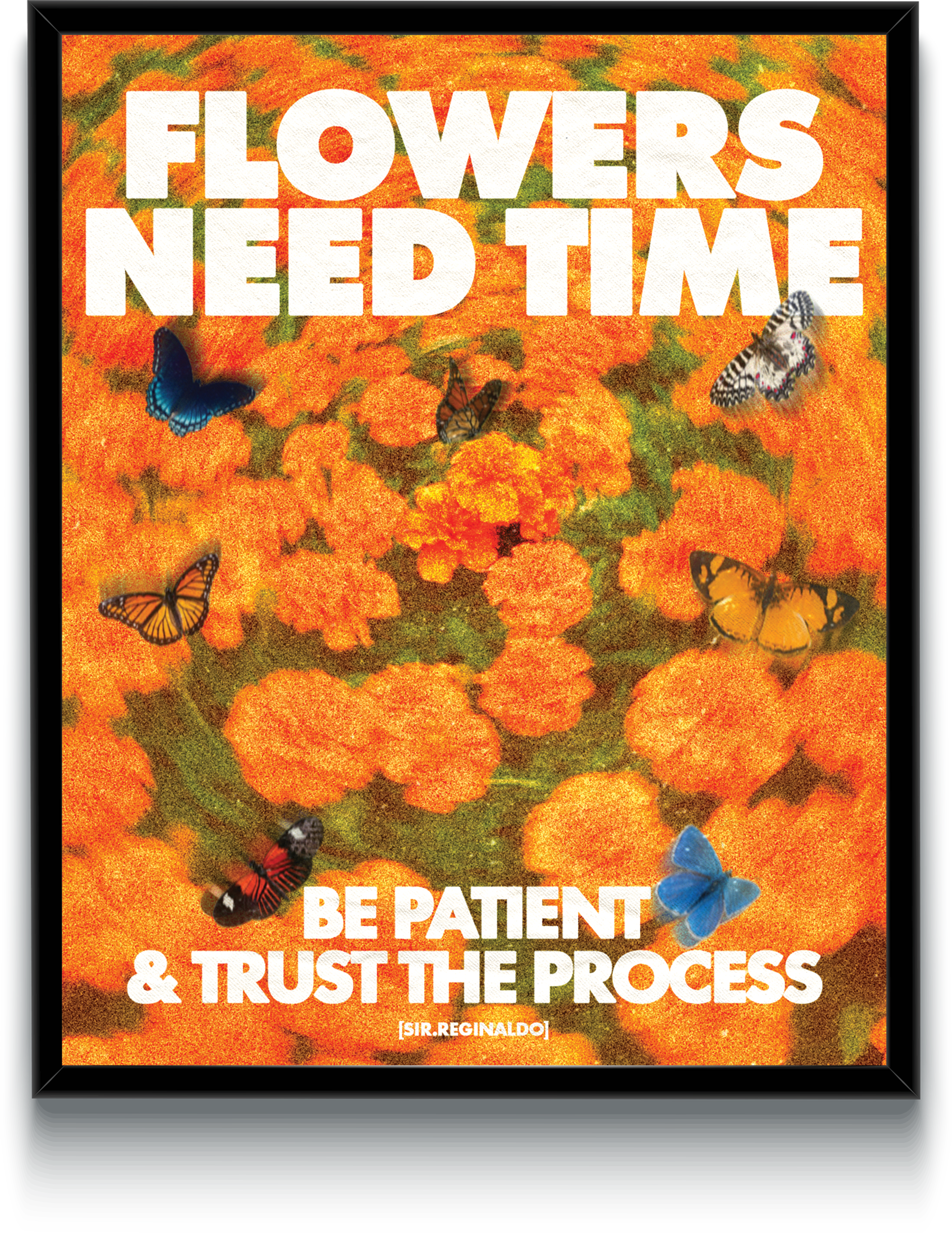 Flowers Need Time