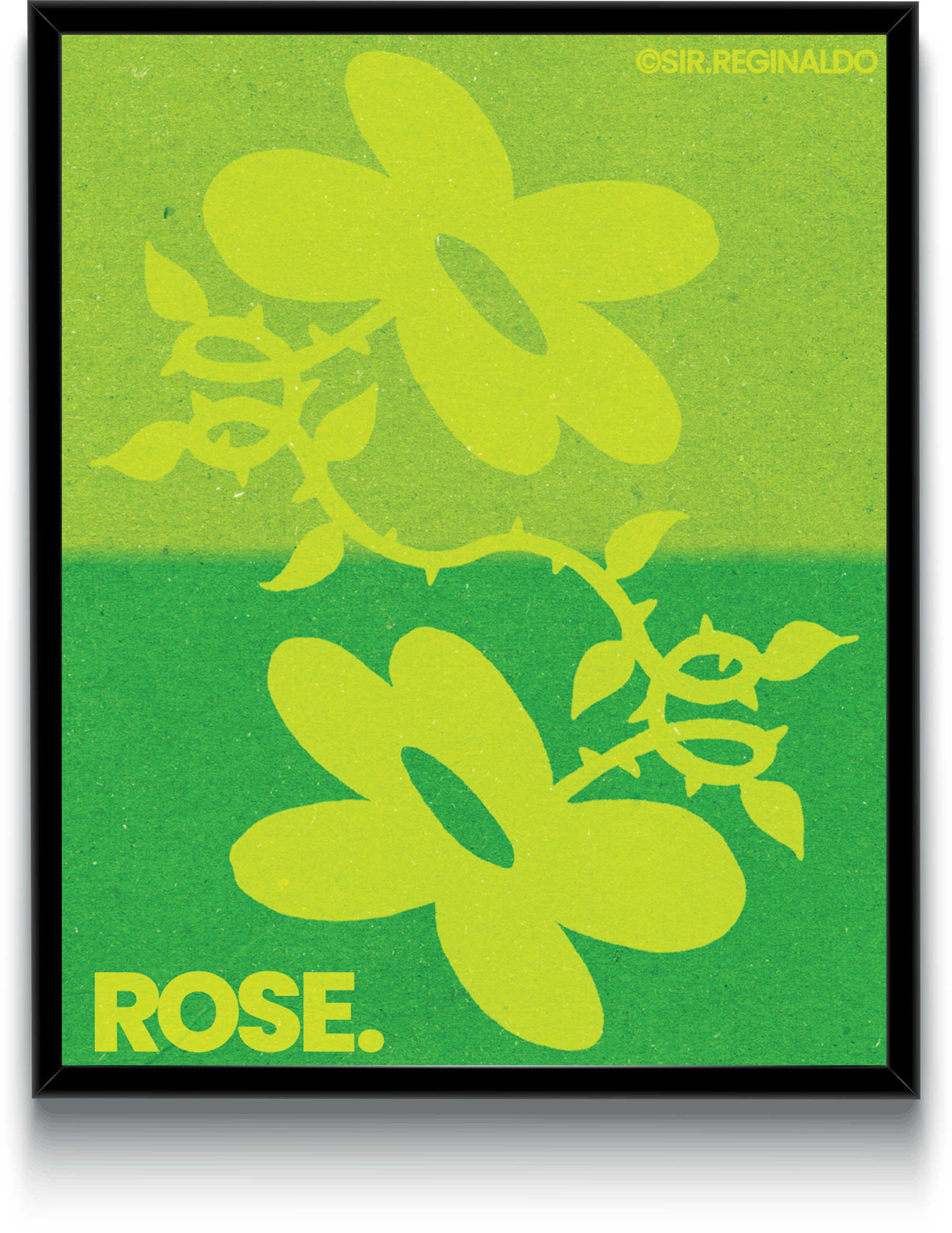 Rose