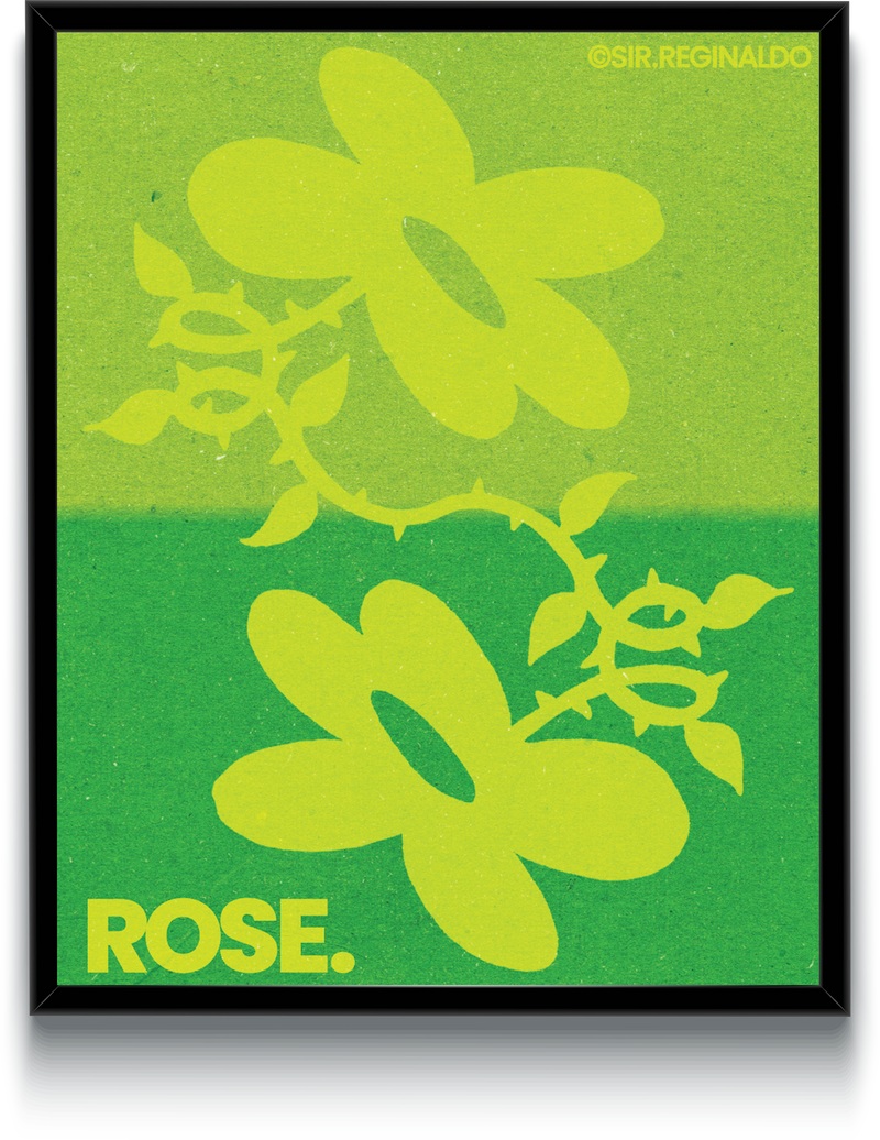 Rose